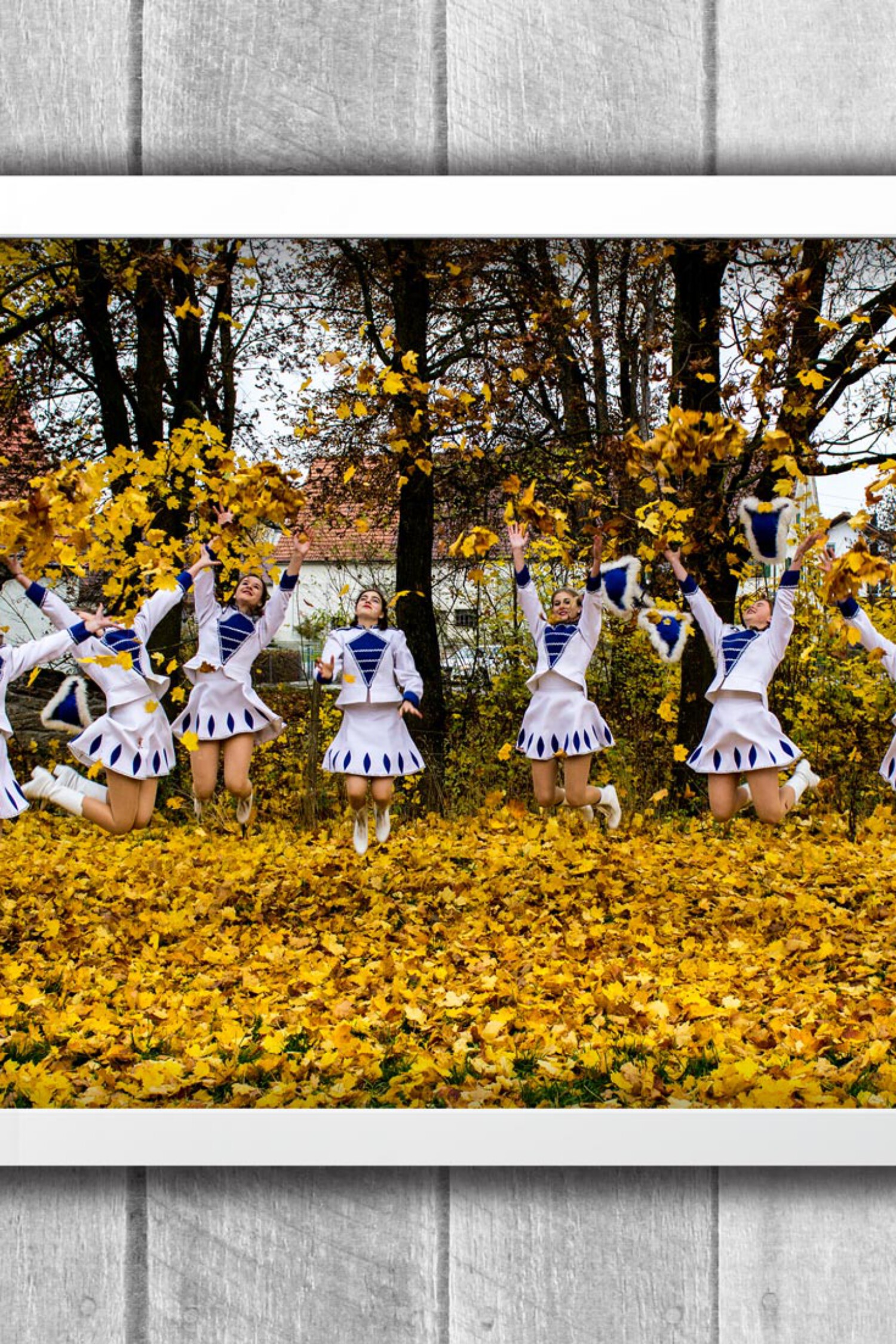 tanzgarde baltringen header