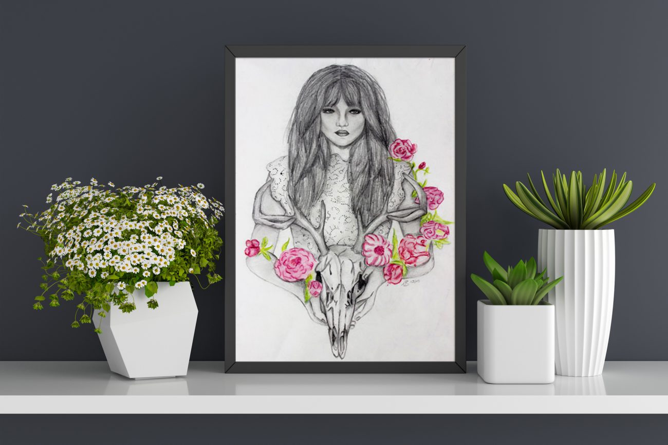 illustration schädel